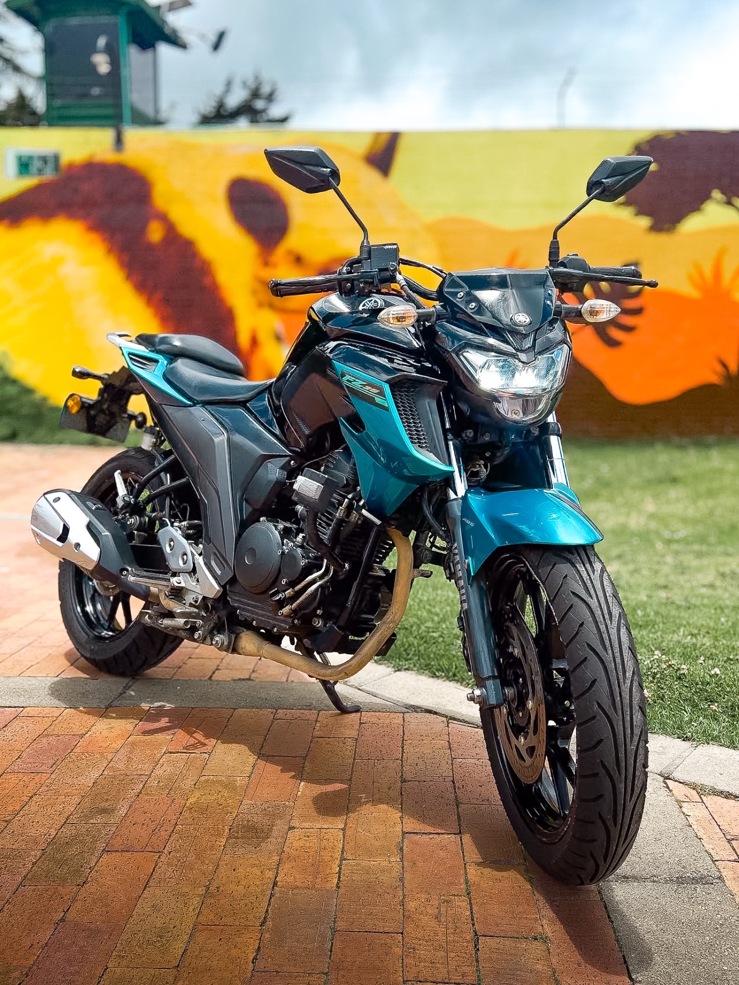 YAMAHA FZ 250 2021 🔥 6