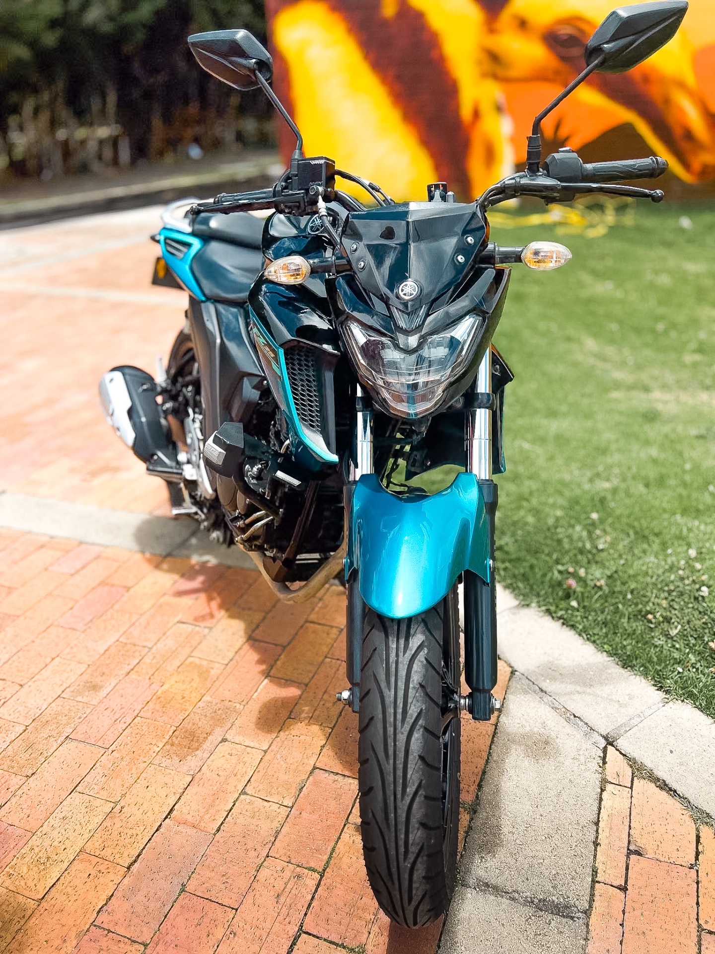YAMAHA FZ 250 2021 🔥 7