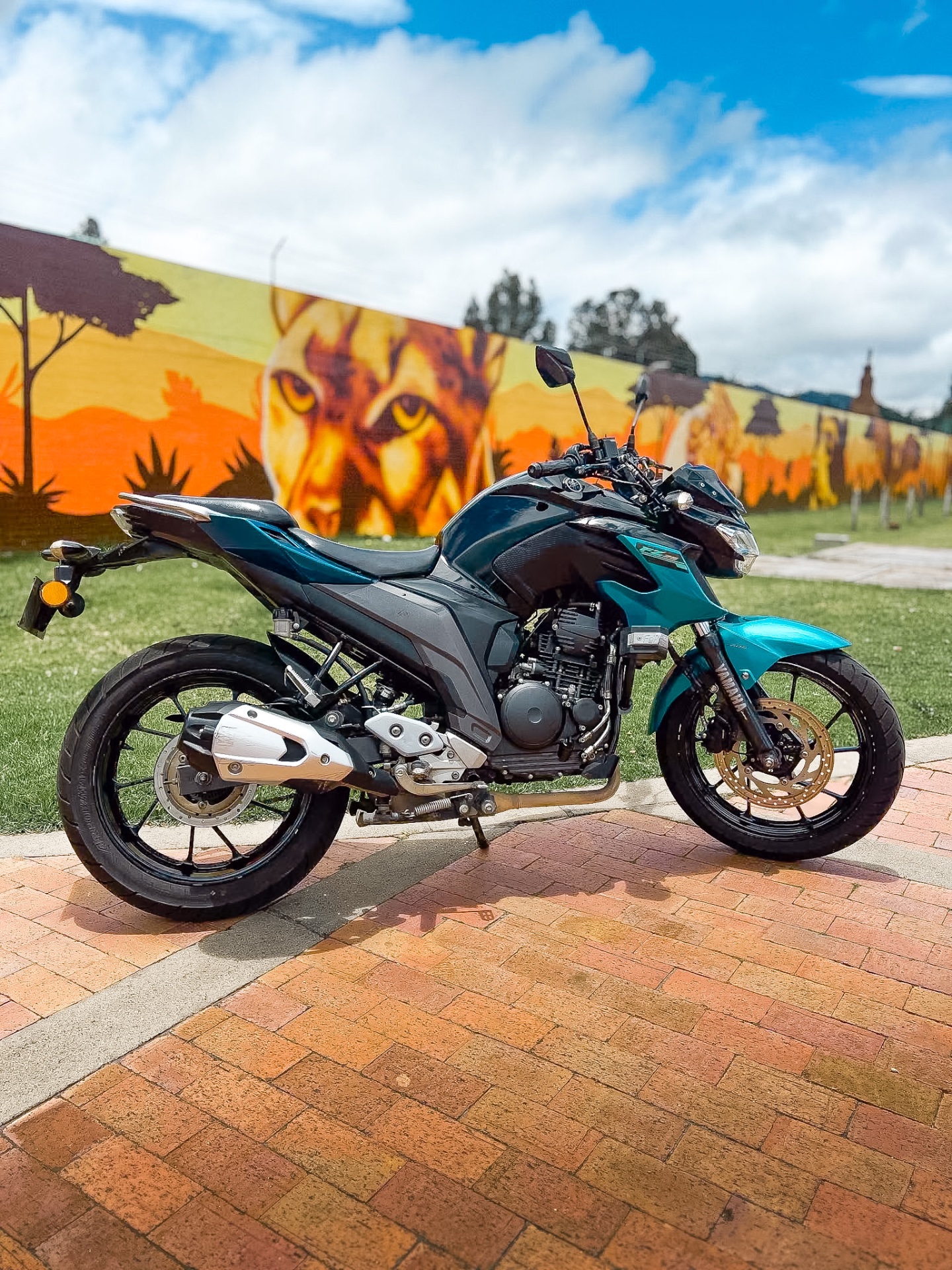 YAMAHA FZ 250 2021 🔥 10