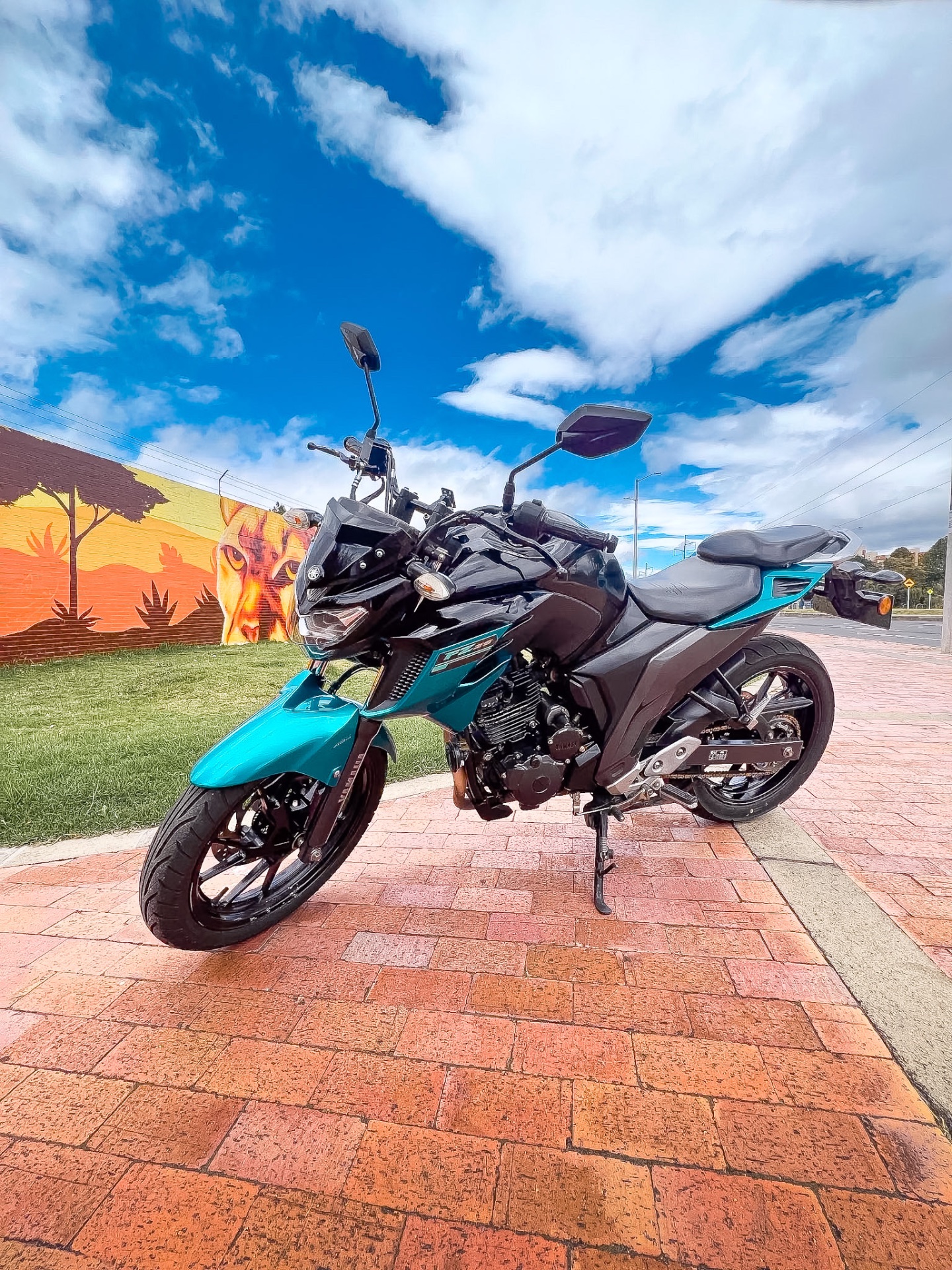YAMAHA FZ 250 2021 🔥 13